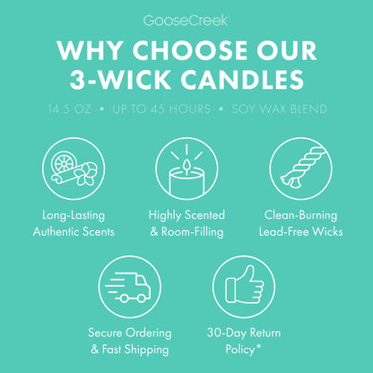 Beach Bum Daiquiri 3-Wick Candle