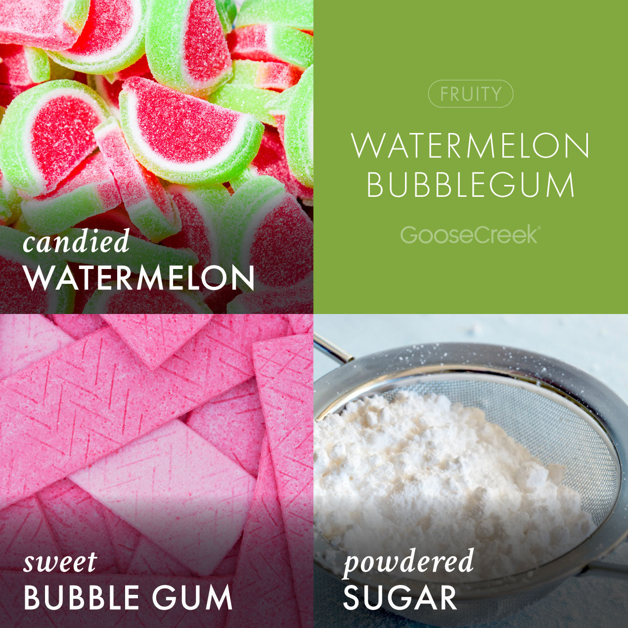 Watermelon Bubblegum Wax Melt